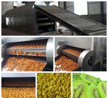 <b>Dried Fruit Production Line </b>