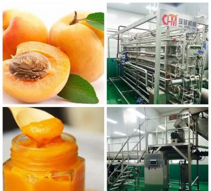 <b>Apricot Paste Production Line Machine </b>