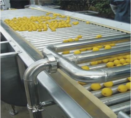 <b>Fruit Sorter</b>