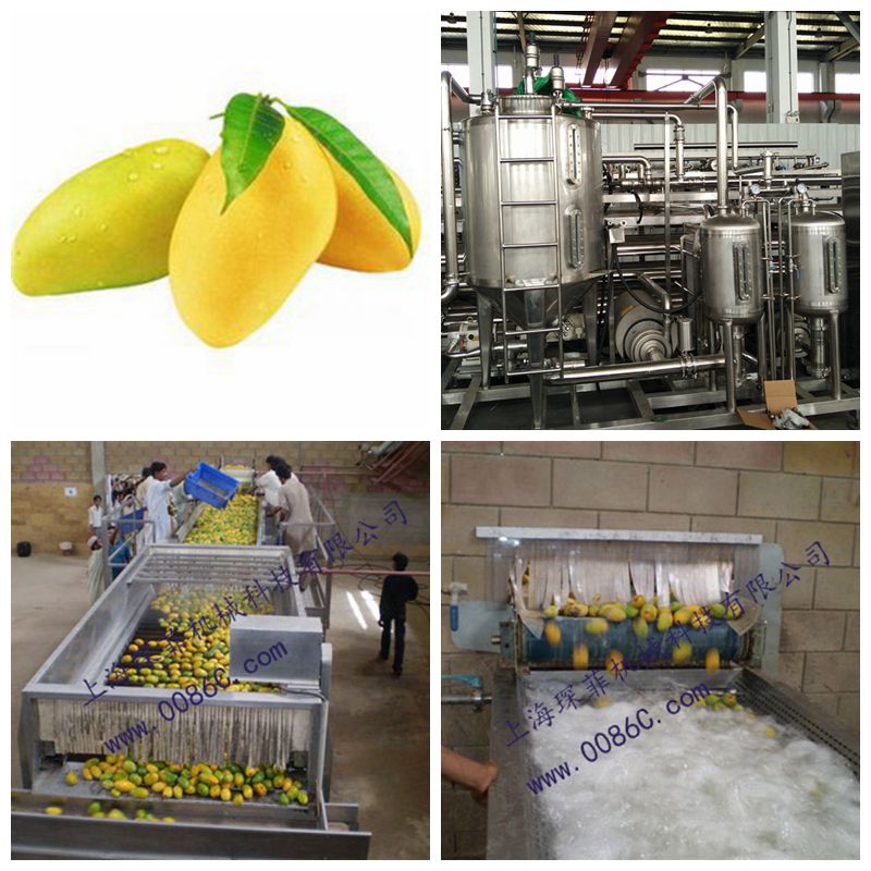 Mango Processing Line Machine-Jam/Paste Production Line-Shanghai ...