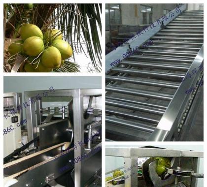 <b>Coconut Processing Line</b>