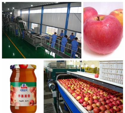 <b>Apple Jam Production Line </b>