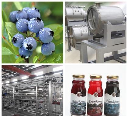 <b>Blue Berry Juice Production Line</b>